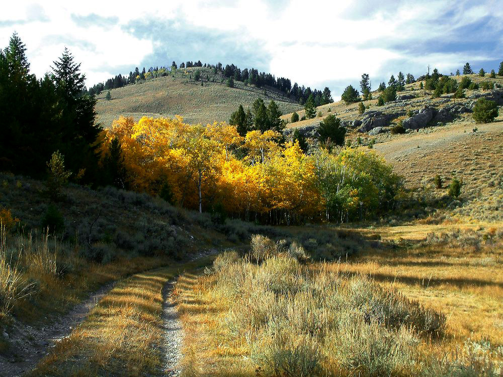 jb_aspens-road_0050.jpg